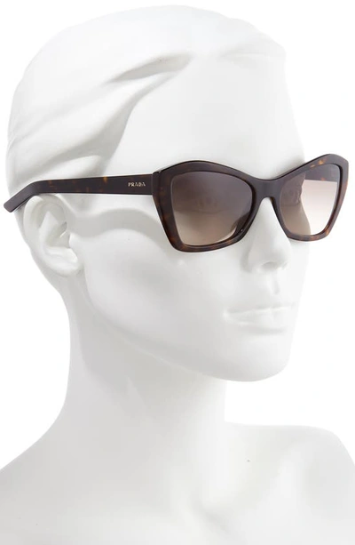 Shop Prada 55mm Gradient Butterfly Sunglasses In Havana/ Light Brown Gradient