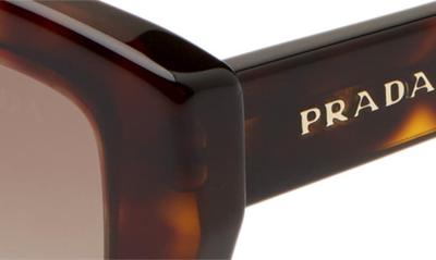 Shop Prada 55mm Gradient Butterfly Sunglasses In Havana/ Light Brown Gradient