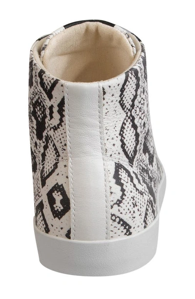 Shop Otbt Hologram Print Sneaker In Snake Print Leather