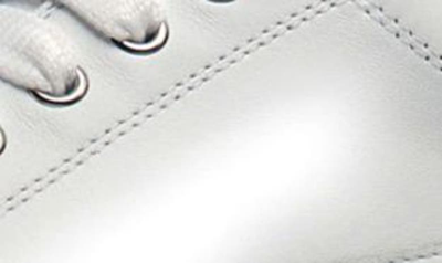 Shop Candice Cooper Velanie Sneaker In White