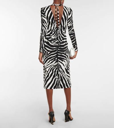 Shop Dolce & Gabbana Zebra-print Cady Midi Dress In Zebra Nera Fdo.bianc