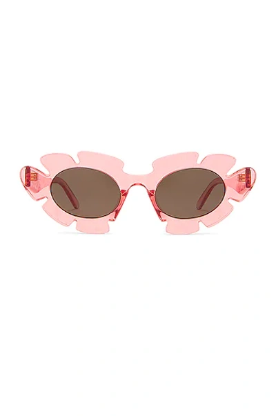 Shop Loewe Paula's Ibiza Flower Sunglasses In Shiny Pink & Brown