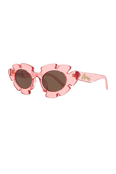 Shop Loewe Paula's Ibiza Flower Sunglasses In Shiny Pink & Brown