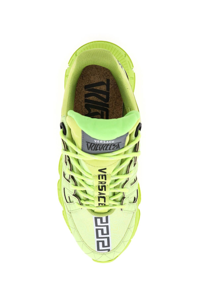 Shop Versace Trigreca Sneakers In Green