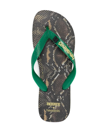 Shop Rotate Birger Christensen Snake-print Thong-strap Flip Flops In Green