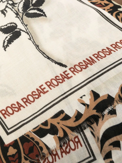 Shop Etro Rose-print Fine Scarf In Brown