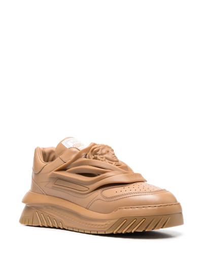 Shop Versace Odissea Low-top Sneakers In Brown