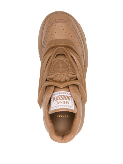 Shop Versace Odissea Low-top Sneakers In Brown