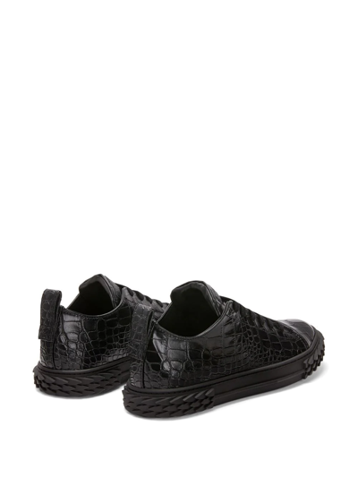 Shop Giuseppe Zanotti Ecoblabber Low-top Sneakers In Black