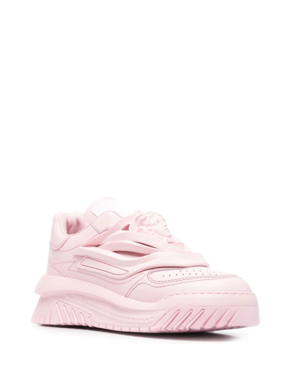 Shop Versace Odissea Low-top Sneakers In Pink