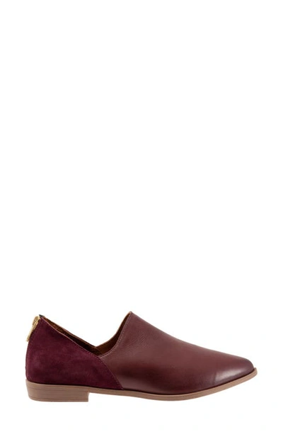 Bueno Beau Pointed Toe Loafer In Merlot