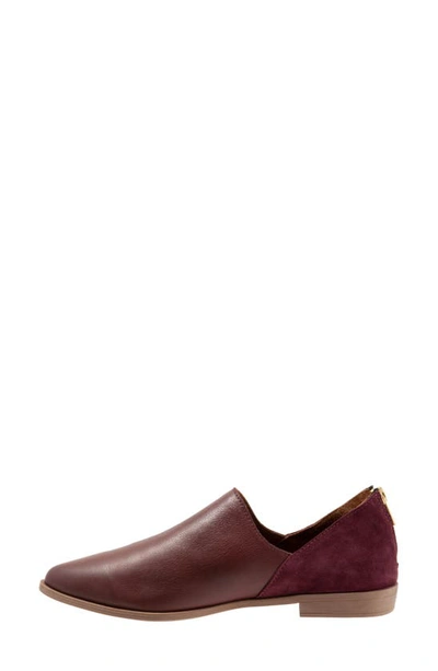 Shop Bueno Beau Pointed Toe Loafer In Merlot