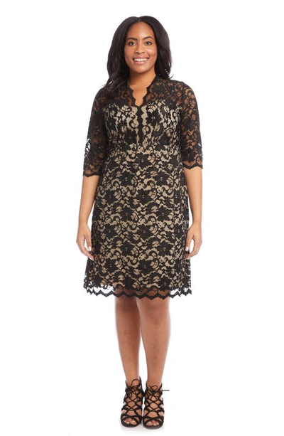 Shop Karen Kane Scalloped Stretch Lace Dress In Brown