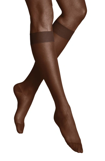 Shop Item M6 Sheer Compression Knee High Socks In Cacao