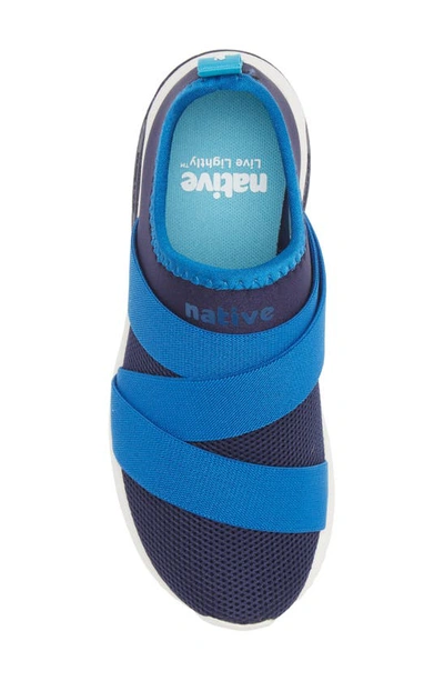 Shop Native Shoes Phoenix Slip-on Sneaker In Regatta Blue/ Shell White