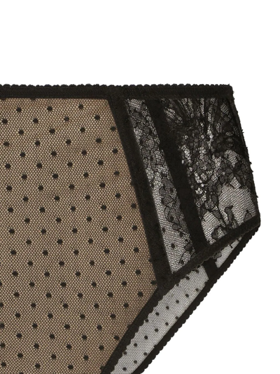 Shop Dolce & Gabbana High-waisted Lace Briefs In Brown