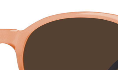 Shop Raen Norie 53mm Polarized Round Sunglasses In Papaya / Vibrant Brown Polar