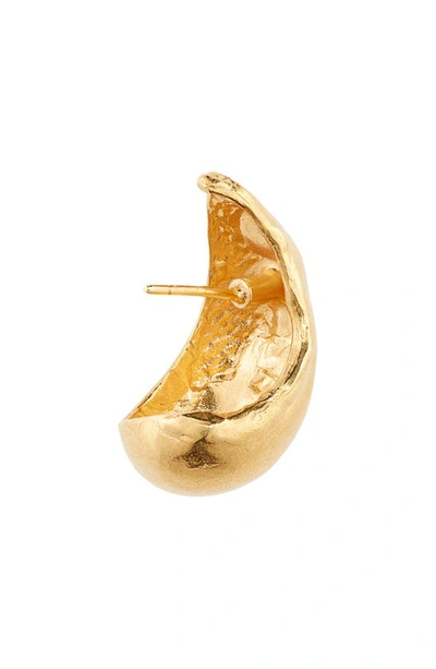 Shop Alighieri The Abundant Dream Hoop Earrings In Gold