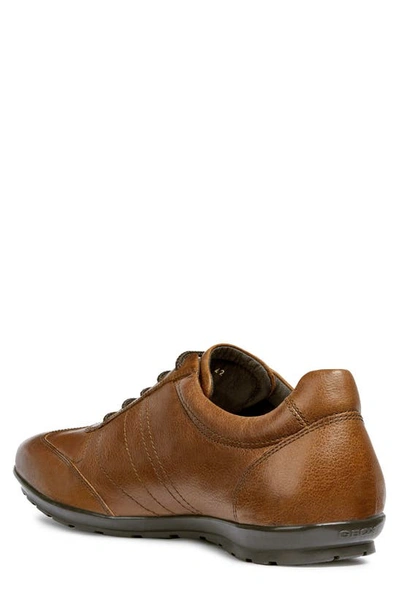 Geox Men's Symbol Leather Dress Sneakers Brown ModeSens