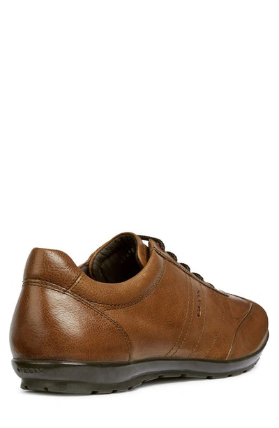 Del Norte Componer dos semanas Geox Men's Symbol Leather Dress Sneakers In Brown Cotto | ModeSens