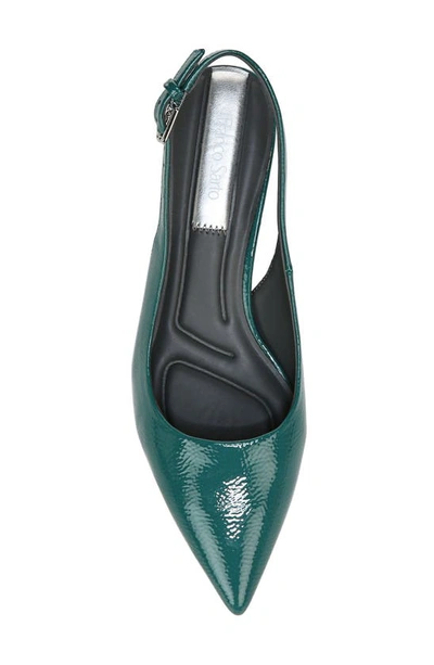 Shop Franco Sarto Racer Slingback Pointed Toe Pump In Dk Teal