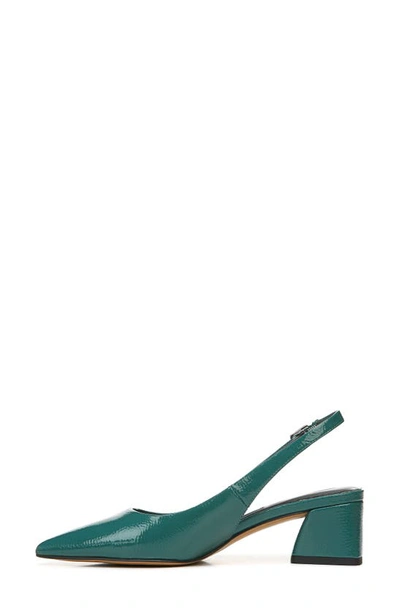 Shop Franco Sarto Racer Slingback Pointed Toe Pump In Dk Teal