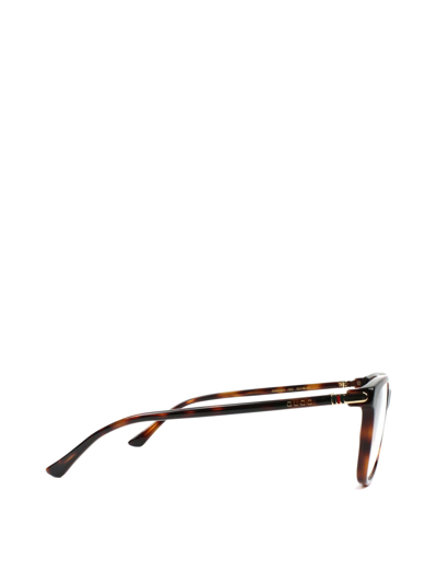 Shop Gucci Gg0018o Havana Glasses