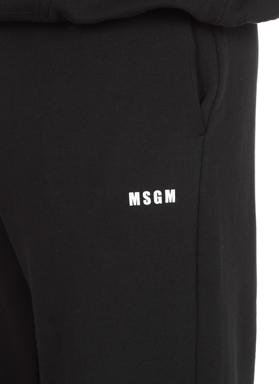 Msgm Logo Trackpant In Black