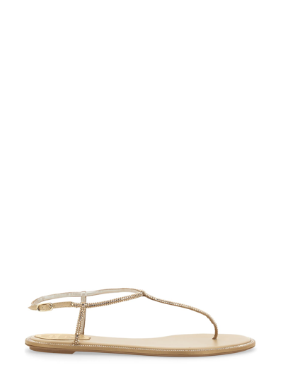 Shop René Caovilla Diana Sandal In Oro