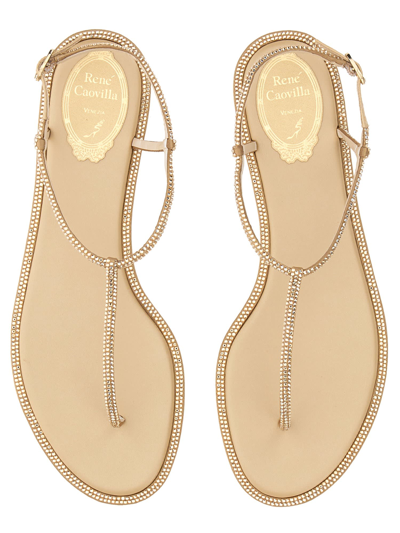 Shop René Caovilla Diana Sandal In Oro