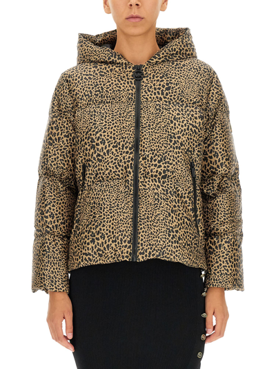 Shop Michael Michael Kors Down Jacket With Animal Print In Marrone