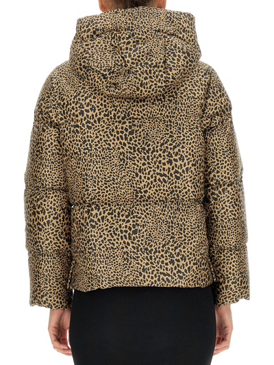 Shop Michael Michael Kors Down Jacket With Animal Print In Marrone