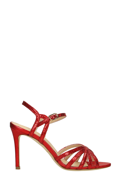 Shop Julie Dee Sandals In Red Leather