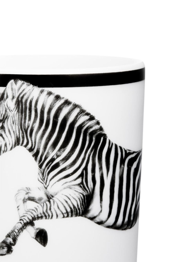 Shop Dolce & Gabbana Zebra Porcelain Cup In White