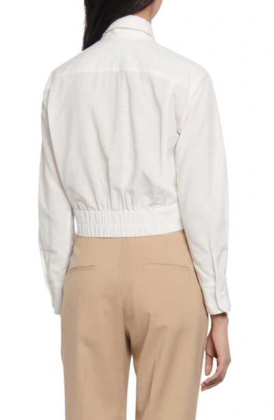 Shop Sandro Crop Shirt With Removable Bow In White
