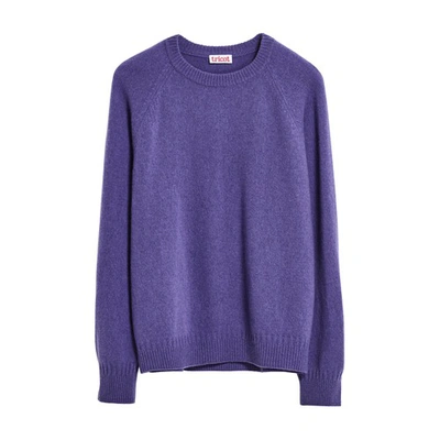 Shop Tricot Recycled Cashmere Sweater In Violet