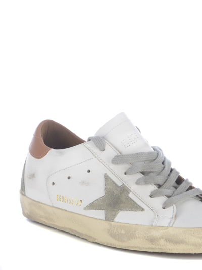 Shop Golden Goose Sneakers  Super Star Leather In Bianco