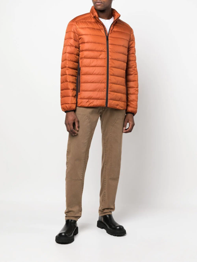 Calvin Klein Zipped-up Padded Jacket In Orange
