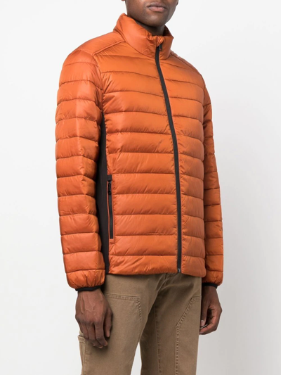 Calvin Klein Zipped-up Padded Jacket In Orange