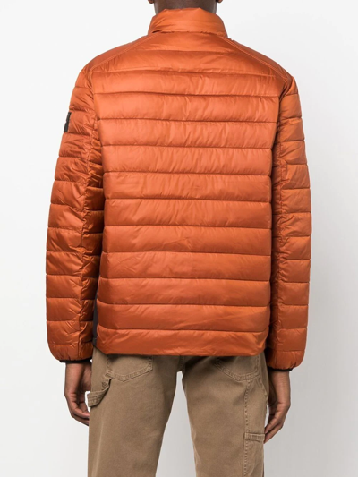Calvin Klein Zipped-up Padded Jacket In Orange