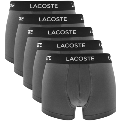 Shop Lacoste Underwear Five Pack Trunks Grey