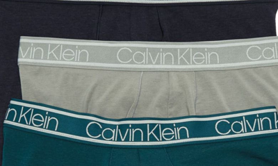 Shop Calvin Klein Boxer Briefs In Wgr/ Pst/ Sho
