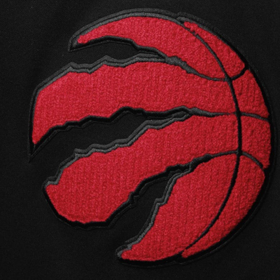 Pro Standard Men's Black Toronto Raptors Chenille Team Pullover