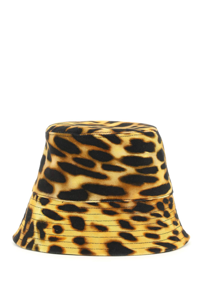 Stella Mccartney Orange Leopard Print Logo Cotton Bucket Hat In Yellow,brown