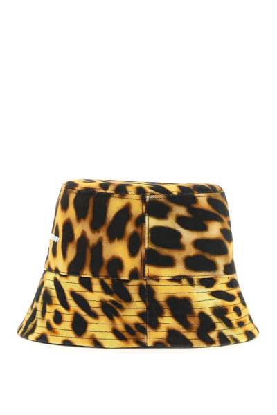 Stella Mccartney Orange Leopard Print Logo Cotton Bucket Hat In Yellow,brown