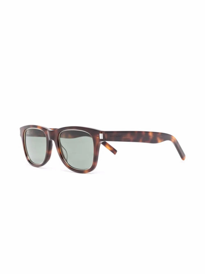 Shop Saint Laurent Men's Brown Acetate Sunglasses