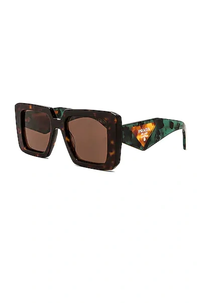 Prada Square Sunglasses In Brown