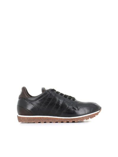 Shop Alberto Fasciani Sneakers Sport 50006 In Black