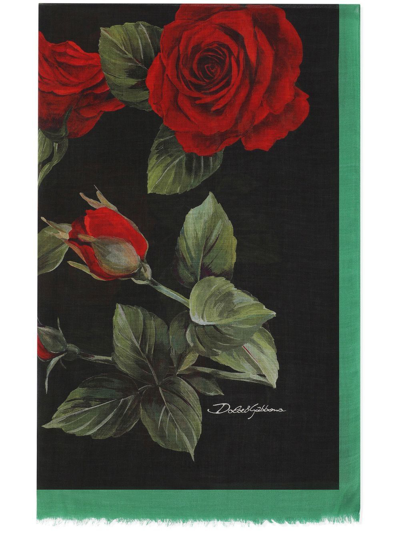 Shop Dolce & Gabbana Rose-print Contrast-border Scarf In Black