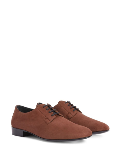 Shop Giuseppe Zanotti Roger Suede Derby Shoes In Braun